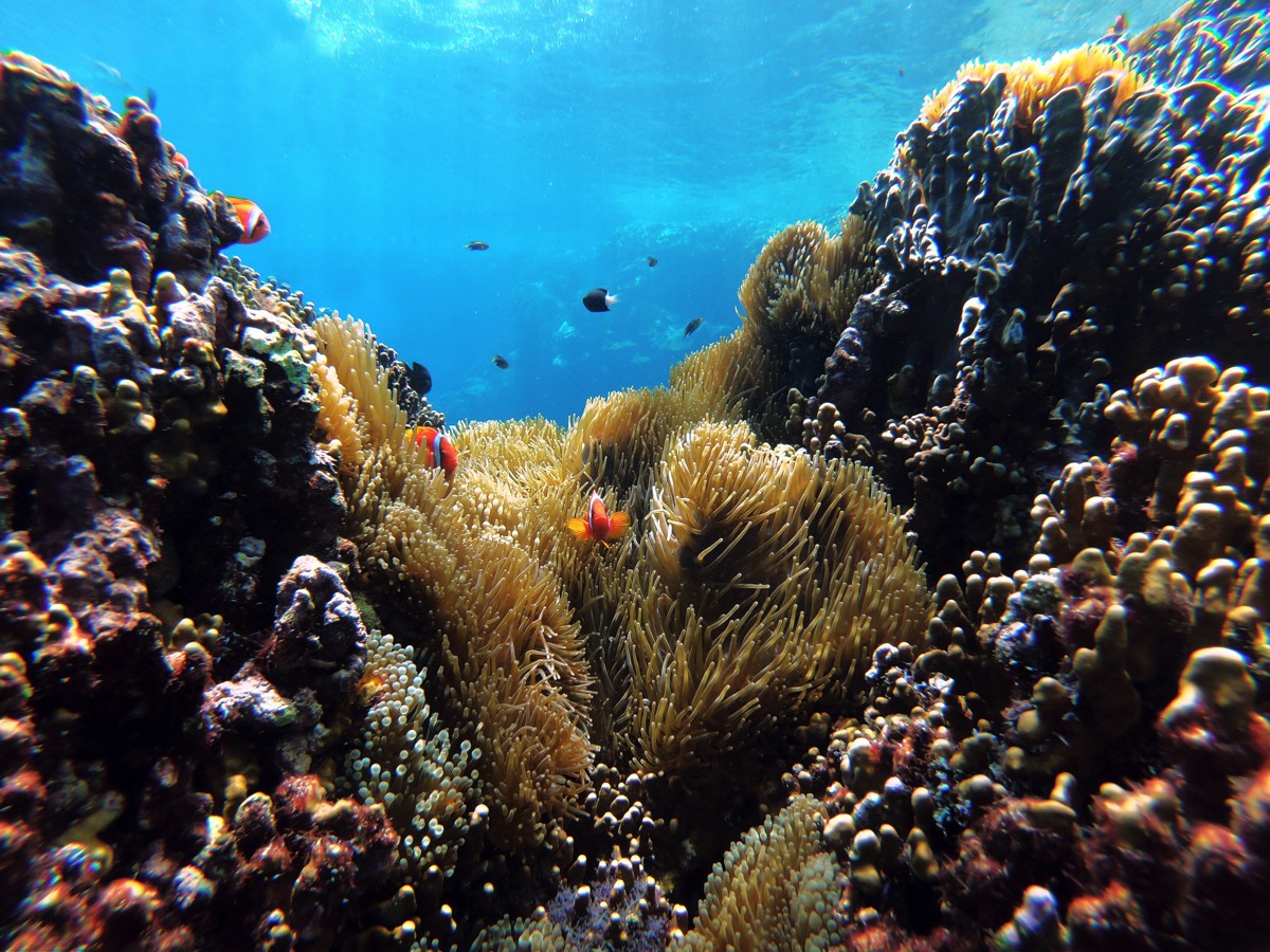 Stacks Image 123